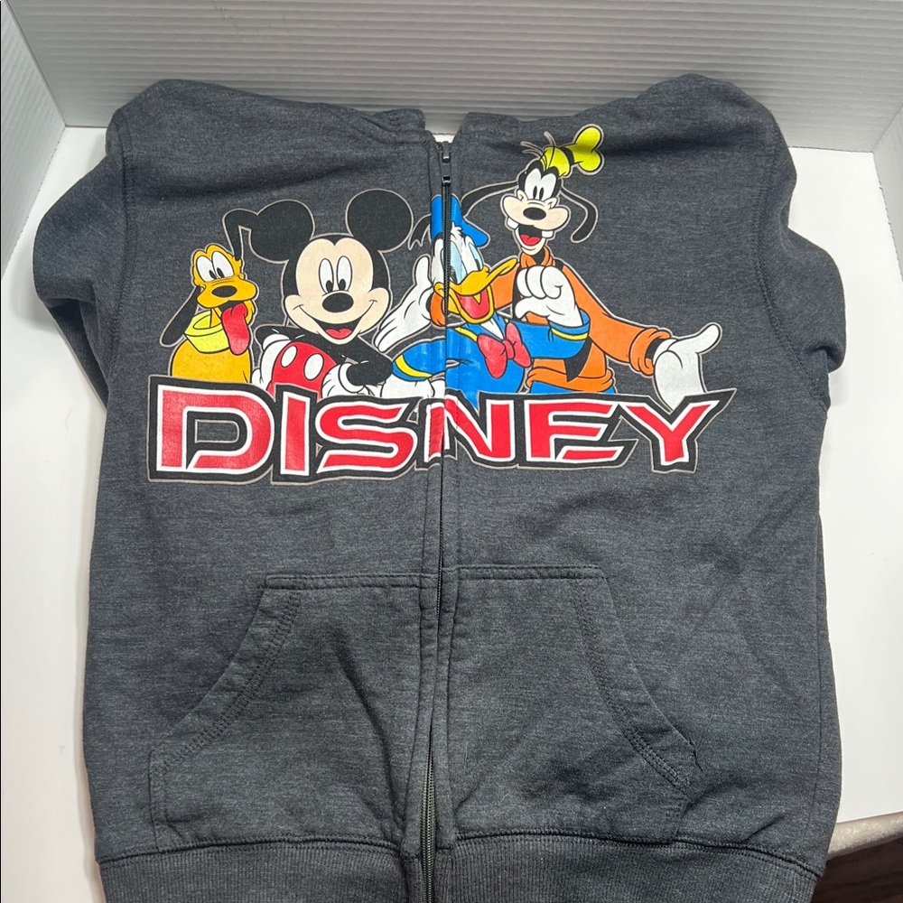 Disney Kids Charcoal Hoodie with Iconic Characters